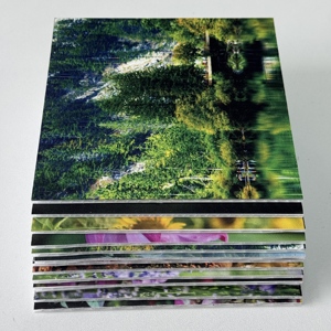 Nouveau produit chaud panneau de nid d'abeille de polypropylène feuille de plastique ondulée garde-<span class=keywords><strong>bulle</strong></span> légère pour la coupe de revêtement de <span class=keywords><strong>sol</strong></span> - Product Image 4