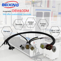 Arnés de Cableado PCB B60V Personalizado 1 E00350 con Conector Macho Hembra Molex JST, Conductor de Cobre, Protector de Cable Electrónico