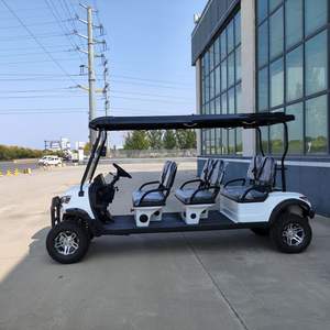 6 עגלת גולף רכב רכב סיור חשמלי צבעים מותאמים אישית - Product Image 4