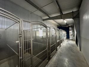도매 하이 퀄리티 헤비 듀티 동물 복지 최첨단 동물 센터 대형 개 인클로저 하우스 사육장 케이지 - Product Image 4