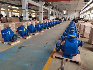 <span class=keywords><strong>P</strong></span> loại bán buôn Chất lượng cao ngang tự mồi bùn nước thải Bơm ly tâm - Product Image 2