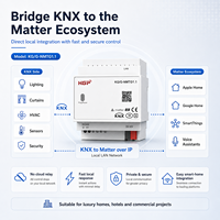 Bridge Smart Home Matter Over IP con Apple Google Home SmartThings, Gateway Matter per il controllo dell'illuminazione, da KNX a Matter Bridge