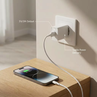 Chargeur de téléphone rapide 5V 2A, prise murale à un seul port USB, adaptateur de voyage universel 100-240V