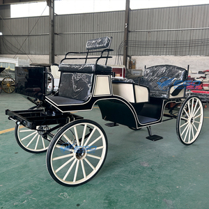 Calèche électrique de luxe classique royale européenne personnalisée blanche haut de gamme pour le tourisme - Product Image 6
