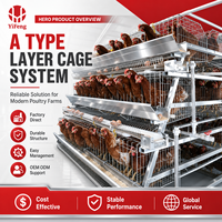 Cage à poules pondeuses de type A en acier galvanisé à chaud, conception de poulailler préfabriqué pour ferme avicole
