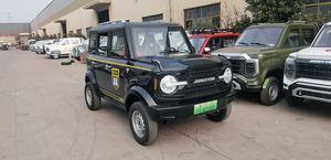 Passagiers elektrische voertuig jeep b - Product Image 3