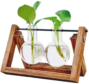植物玻璃容器木架，桌面玻璃播种机灯泡花瓶与复古实木支架和金属旋转支架