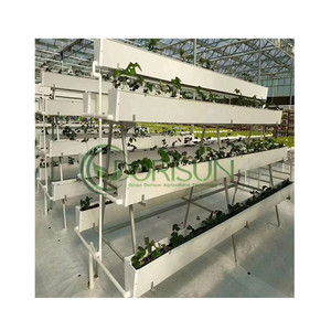 Plante de fraise européenne, tour de jardinage verticale, Pots, Cube d'eau, prise de jardin, système européen avec poteau - Product Image 5