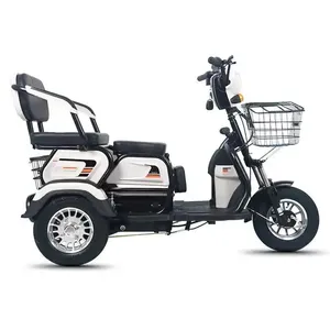 Factory 3 Wheel Electric Tricycles Adult Tricycle Electric Tricycle Electric Bike