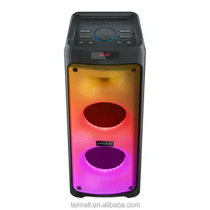 Telmallデュアル10インチホームエンターテインメントDjTws with Fire Effect Led Light Powered Pro Music Speaker Audio