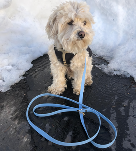 Tali selempang dapat diatur untuk tangan bebas timah anjing nyaman di luar ruangan tali hewan peliharaan Pvc tali anjing bebas genggam Correa <span class=keywords><strong>De</strong></span> Perro - Product Image 3