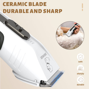 <span class=keywords><strong>Tondeuse</strong></span> <span class=keywords><strong>professionnelle</strong></span> électrique 12V robuste pour animaux de compagnie OEM/ODM avec peignes de guidage et brosse pour chiens et chats - Product Image 5