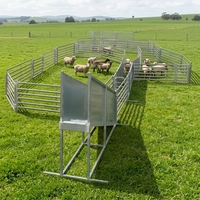 Panneaux de clôture pour bétail soudés et traités thermiquement, galvanisés, imperméables, pour enclos à moutons, pliables et portables, pour chèvres - Vente chaude