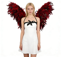 Ailes d'ange de luxe faites à la main en plumes de poulet rouges pour costume de carnaval, spectacle de danse Samba, spectacle sur scène, cosplay, tenue de festival