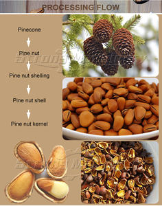 Máquina descascaradora de pistachos Desgranadora de piñones Máquina descascaradora de pistachos - Product Image 5