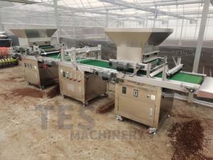 Totalmente automático vegetal flor semente bandeja semeadora para culturas como alface berinjela e petúnia com distribuição uniforme de sementes - Product Image 6