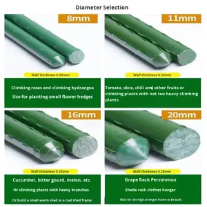 Kunststoffbeschichtetes Stahlrohr PE Pflanzenklettergerüst Leiterstange Bohnen-Gurken-Klettergestell Garten - Product Image 3
