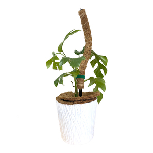 Máy Cocopeat Chất Nền Xơ Dừa Đất Sinh Thái Sợi Dừa 8 Qt Que Xơ Dừa Sợi Xơ Dừa - Product Image 3