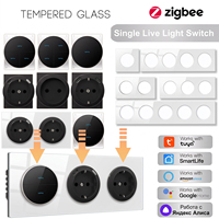 Interruptor de Pared Estándar Europeo Moderno, Zigbee Tuya, Interruptores Inteligentes, Enchufes de 16A, Panel de Control Inteligente para el Hogar, Módulo de Interruptor, Proveedor