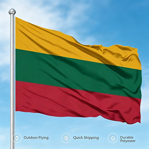 Bandera de Lituania de 3x5 pies, Productos en Stock, Envío Rápido, Bandera Personalizada para Exteriores, Económica, 100% Poliéster, Suministro al por Mayor - Product Image 2