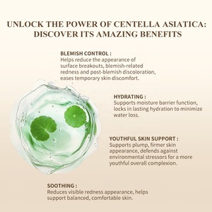 Coffret de Soins Apaisants et Nourrissants à la Centella Asiatica pour le Visage et les Yeux (Sérum, Nettoyant, Crème) – Marque Blanche - Product Image 3
