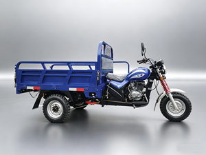 Triciclo <span class=keywords><strong>de</strong></span> Carga Abierto Motorizado a Gasolina <span class=keywords><strong>para</strong></span> Venta <span class=keywords><strong>de</strong></span> Alimentos con Todas las Piezas, <span class=keywords><strong>de</strong></span> Alta Velocidad y Uso Pesado - Product Image 6