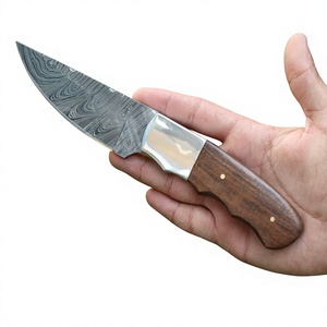 Cuchillos de Acero de Damasco de Alta Calidad, Forjados, de Grado Industrial, con Hoja Recta, Fijos, de 22 cm, para Exteriores, para Revendedores, Precios de Fábrica - Product Image 1
