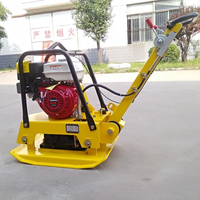 Compacteur de plaque réversible vibrant pour route de sol 160kg à vendre