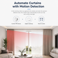 Détecteur de mouvement PIR intelligent Zigbee 3.0 pour rideaux, OEM/ODM, dispositif d'automatisation domestique à marque privée, vente en gros directe usine
