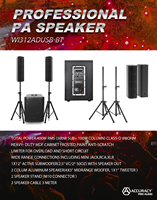 Système de haut-parleurs colonne Accuracy Pro Audio WI312AD, amplificateur de son professionnel pour scène, DJ, fête, home cinéma, caisson de basses