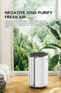 Cooling and Heating Air-cooled Thermoregulation <b>Dehumidifier</b> Home Use R134a Refrigerant 30L Capacity <b>Dehumidifier</b> - Product Image 4