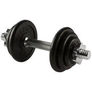 जिम उपकरण वजन Dumbbells हेक्सागोनल जिम Dumbbells सबसे अच्छी कीमत के साथ विनिर्देशों