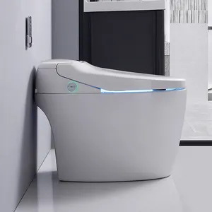 Sanitary Ware Luxury Modern Style Fully Automatic Operation Electric Bidet Siphonic Flush Intelligent Smart Wc Toilet