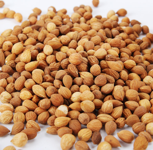 Yu Li Ren Bụi Cây Sấy Khô Số Lượng Lớn Tinh Dịch Bóc Vỏ Thảo Mộc Trung Quốc Prani Prunus Japonica Để Bán Trực Tuyến - Product Image 3