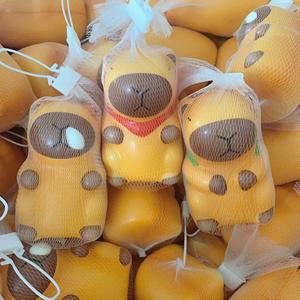 El popular juguete Kapibala de rebote lento para aliviar el estrés es un regalo lindo y tonto para que las niñas se ventilen - Product Image 1