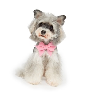 ปลอกคอสัตว์เลี้ยงพลาสติกสำหรับแมวและสุนัข สร้อยคอมุก โบว์ขนาดใหญ่ อุปกรณ์เสริมสีสันสดใสระดับไฮเอนด์ สำหรับทุกฤดูกาลและวันหยุด - Product Image 4