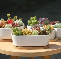Vente en gros, promotion : Pots de fleurs géométriques blancs en céramique pour plantes succulentes, avec soucoupes en bambou, pour la maison et le jardin, livraison directe, fixation murale