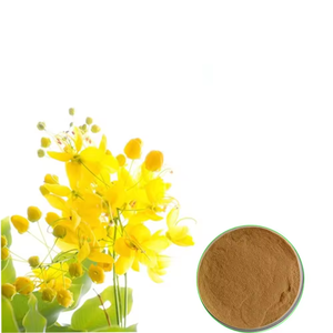 Extracto Herbal en Polvo de Amaltash Cassia Fistula, Precio Competitivo, Personalización y Soporte para Marca Privada - Product Image 2
