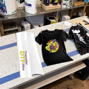 Película de transferencia de calor DTF de alta calidad 60*100cm y 30*100cm tamaños para impresora Pet - Product Image 1