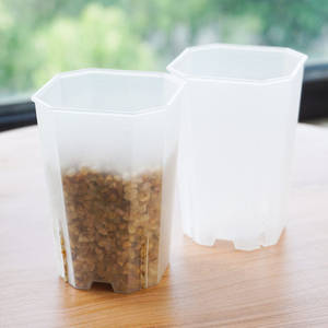 Macetas Mini para Suculentas Resistentes al Envejecimiento P378, Transparentes, Blancas, con Control de Raíces, Aberturas Laterales, Octogonales, Cuadradas, de Plástico - Product Image 6