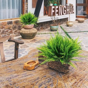 Ramo de Helecho Persa Artificial de 10cm-30cm, Decoración de Vegetación con Protección UV para Exteriores - Product Image 3