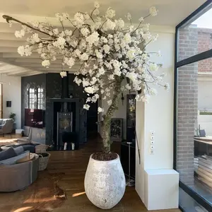 <span class=keywords><strong>Tik</strong></span> <span class=keywords><strong>Tok</strong></span> <span class=keywords><strong>YouTube</strong></span> Instagram Dernières tendances en matière de plantes en pot personnalisées, bonsaï, cerisier artificiel rose et blanc pour la décoration intérieure - Product Image 3