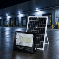 Lampe solaire compacte en aluminium, avec détecteur de mouvement, éclairage nocturne automatique pour les places rurales, les cours, les fermes, les trottoirs et les aménagements paysagers