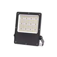 Projecteur LED extérieur pour jardin, parc, cour, garage, piscine, stade, éclairage 100w 150w 200w 300w, projecteur LED 170lm/w