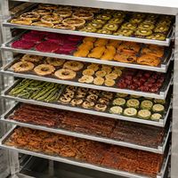 Commerciële voedseldroger met 96 trays, industriële droogmachine voor fruit, groenten en vlees
