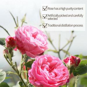 Prodotto di bellezza 500ml Ultra profonda idratazione e idratazione idratante ripristina la vitalitàsiero di rosa acido ialuronico per il viso - Product Image 4