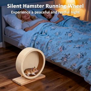 Roue d'exercice pour petits animaux en gros, réglable, silencieuse, en bois, jouet pour <span class=keywords><strong>hamster</strong></span>, accessoires pour cage d'animaux - Product Image 5
