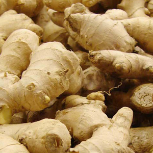 Đầu tiên tỷ lệ hữu cơ Gừng <span class=keywords><strong>20g</strong></span> đông lạnh puree xúc xắc BRC HACCP chứng nhận Blanched Halal chứng nhận bóc vỏ cay <span class=keywords><strong>Cube</strong></span> đầu tiên tỷ lệ đông lạnh - Product Image 3