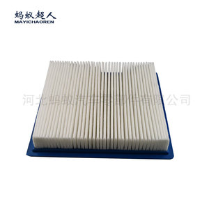 Filtre à air Coolway 04891916AA pour Dodge, pièce de rechange - Product Image 3