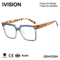 Venta al por mayor de gafas ojo de gato unisex de moda logotipo personalizado Marco de bloqueo de luz azul TR90 gafas